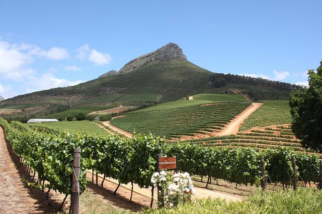 Vue de vignobles sur Delaire Graff