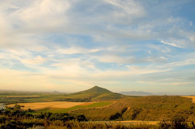 Blick über die Weinberge von Stellenbosch